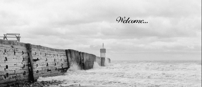 Welcome...